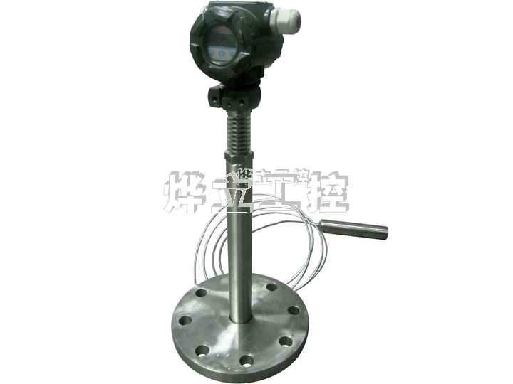 WMY-AGW高溫投入式變送器