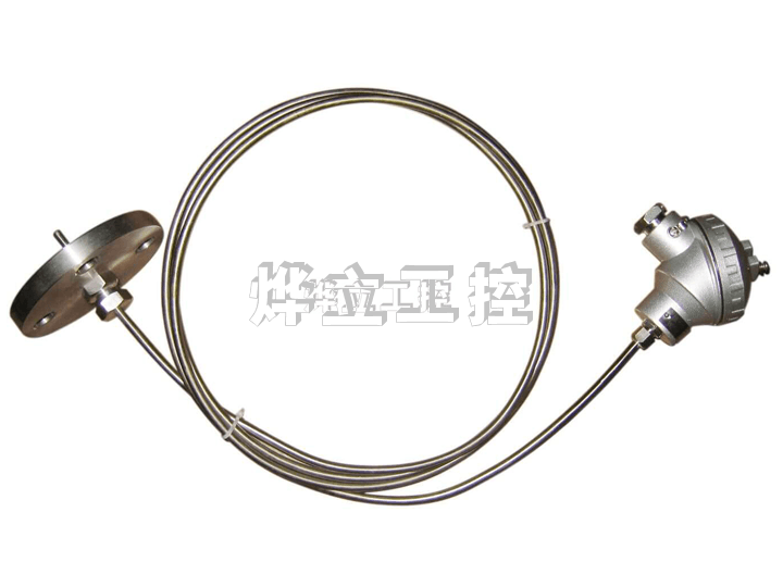 WZP-231B鎧裝溫度變送器